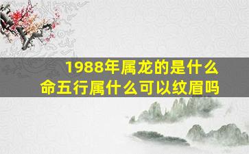 1988年属龙的是什么命五行属什么可以纹眉吗