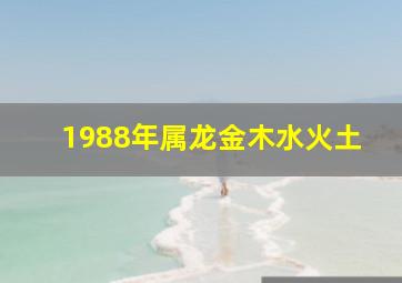 1988年属龙金木水火土