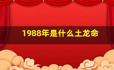 1988年是什么土龙命