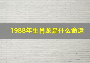 1988年生肖龙是什么命运