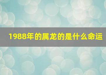 1988年的属龙的是什么命运