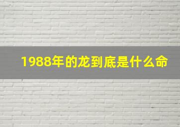 1988年的龙到底是什么命