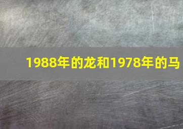 1988年的龙和1978年的马