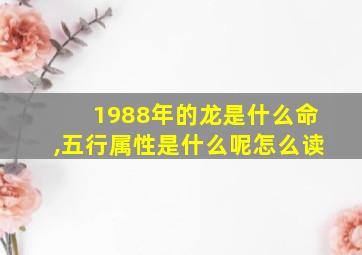 1988年的龙是什么命,五行属性是什么呢怎么读