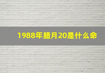 1988年腊月20是什么命