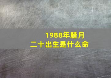 1988年腊月二十出生是什么命