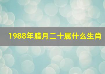 1988年腊月二十属什么生肖