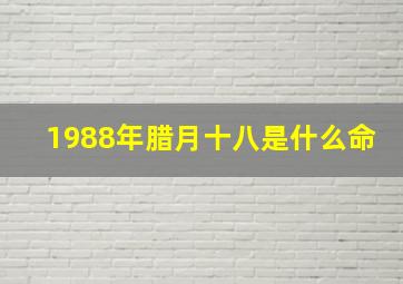 1988年腊月十八是什么命