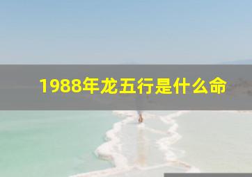 1988年龙五行是什么命