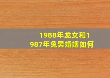 1988年龙女和1987年兔男婚姻如何