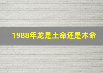 1988年龙是土命还是木命