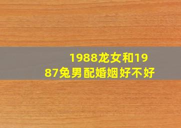 1988龙女和1987兔男配婚姻好不好