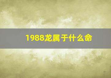 1988龙属于什么命