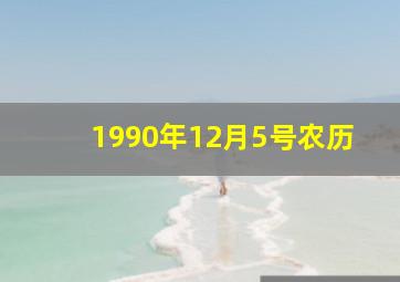 1990年12月5号农历