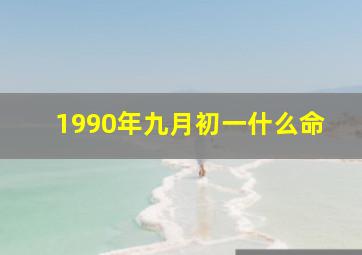 1990年九月初一什么命