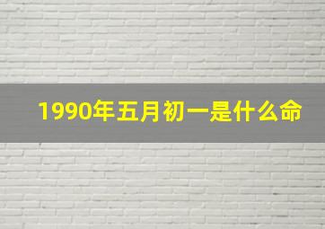 1990年五月初一是什么命