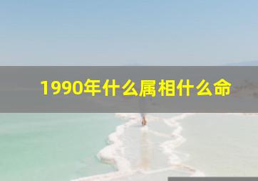 1990年什么属相什么命