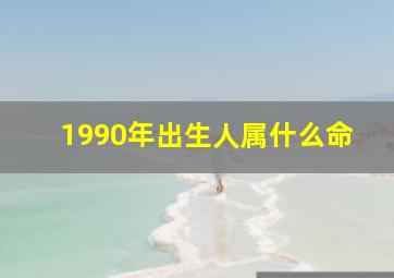 1990年出生人属什么命