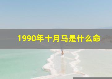 1990年十月马是什么命