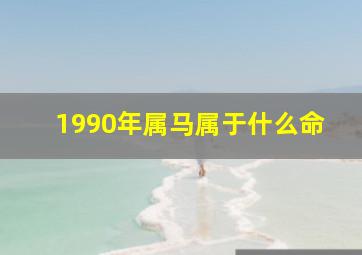 1990年属马属于什么命