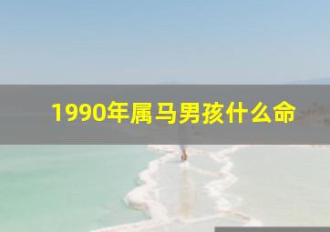 1990年属马男孩什么命