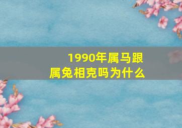 1990年属马跟属兔相克吗为什么