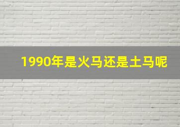 1990年是火马还是土马呢