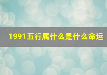 1991五行属什么是什么命运