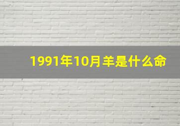 1991年10月羊是什么命