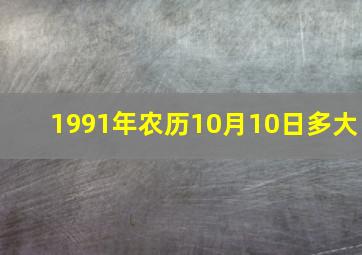 1991年农历10月10日多大