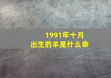 1991年十月出生的羊是什么命