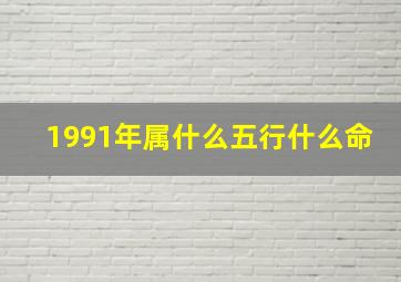 1991年属什么五行什么命