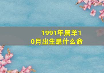 1991年属羊10月出生是什么命