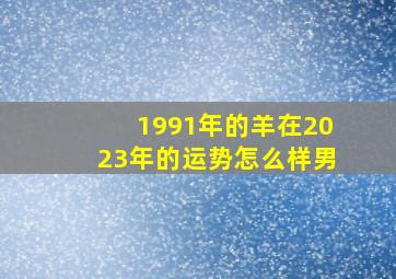 1991年的羊在2023年的运势怎么样男