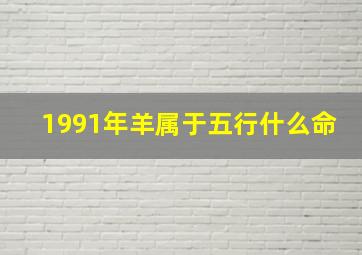 1991年羊属于五行什么命