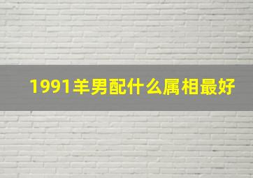 1991羊男配什么属相最好