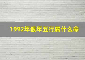 1992年猴年五行属什么命