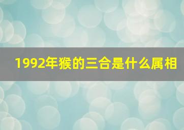 1992年猴的三合是什么属相