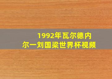 1992年瓦尔德内尔一刘国梁世界杯视频