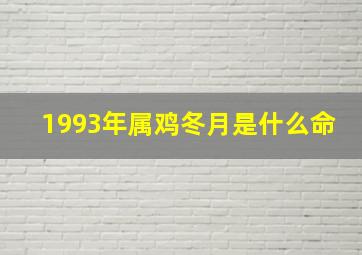 1993年属鸡冬月是什么命