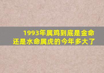 1993年属鸡到底是金命还是水命属虎的今年多大了