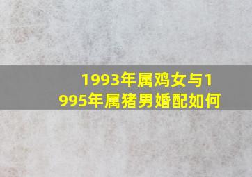 1993年属鸡女与1995年属猪男婚配如何