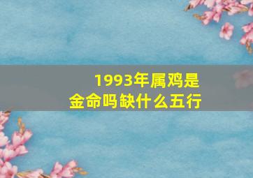 1993年属鸡是金命吗缺什么五行