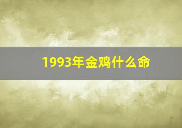 1993年金鸡什么命