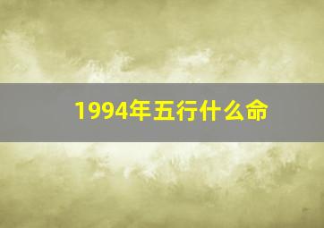 1994年五行什么命