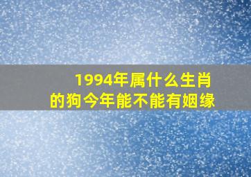 1994年属什么生肖的狗今年能不能有姻缘