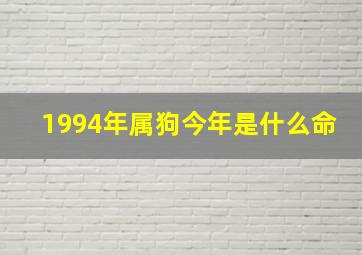 1994年属狗今年是什么命