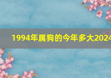 1994年属狗的今年多大2024