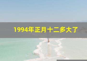 1994年正月十二多大了