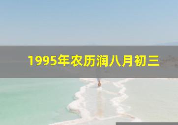 1995年农历润八月初三